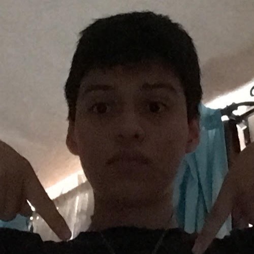 yoxd